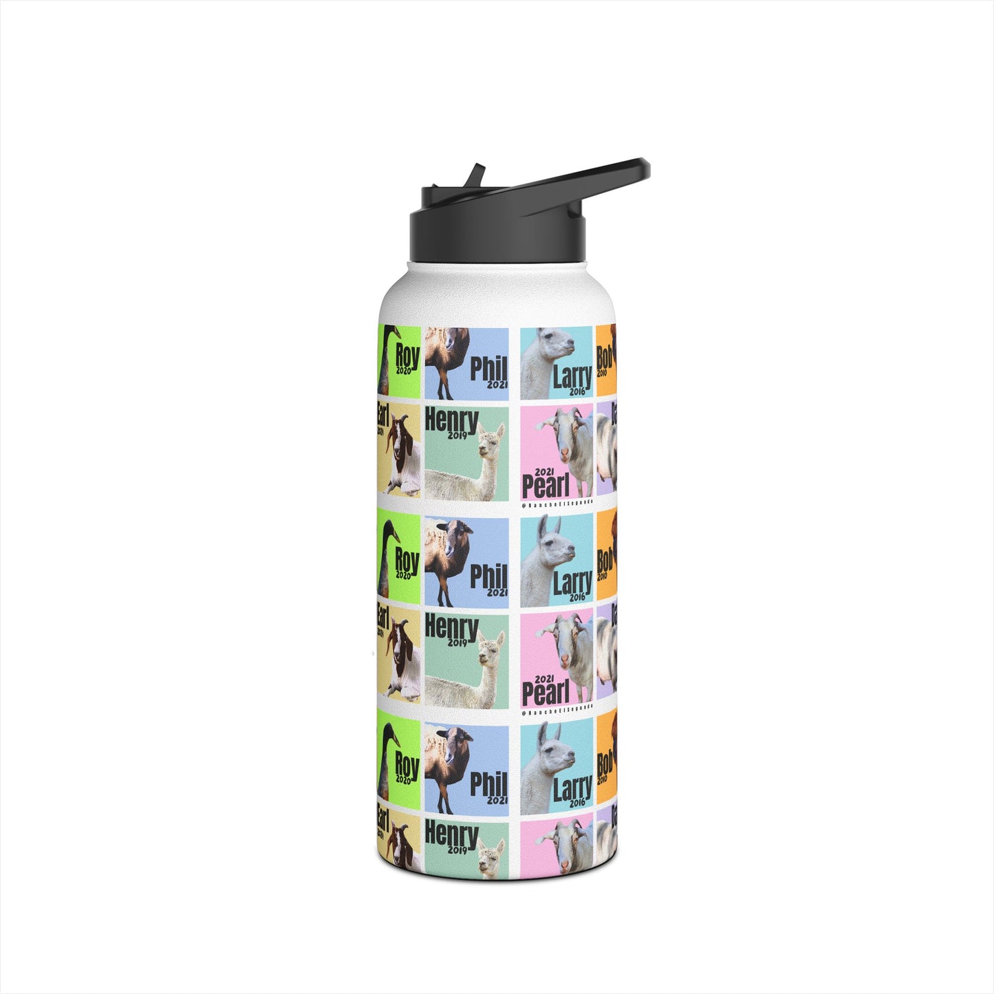 THE WHOLE GANG STAINLESS STEEL WATER BOTTLE - 12oz, 18oz, 32oz - PASTEL