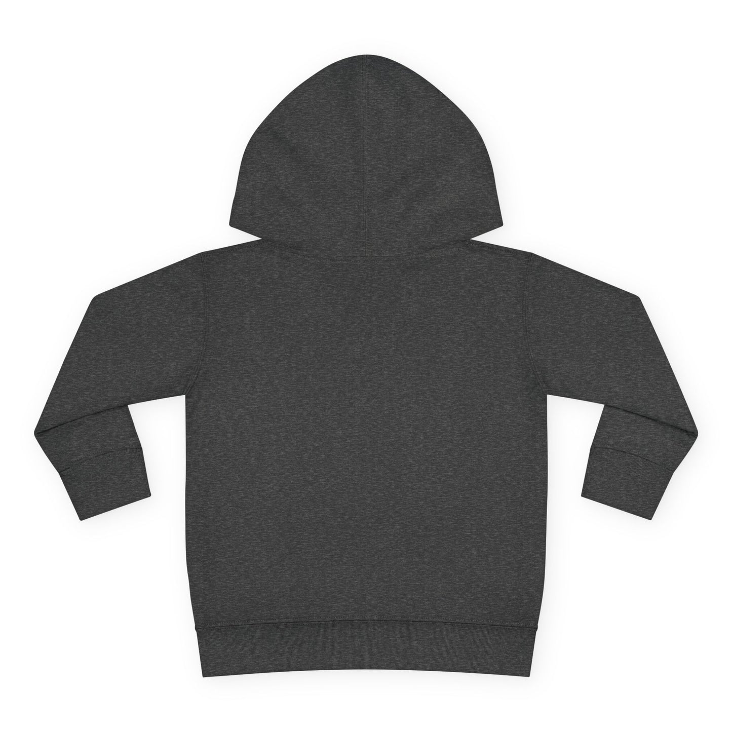 Cali Sun - Larry - Toddler Pullover Fleece Hoodie