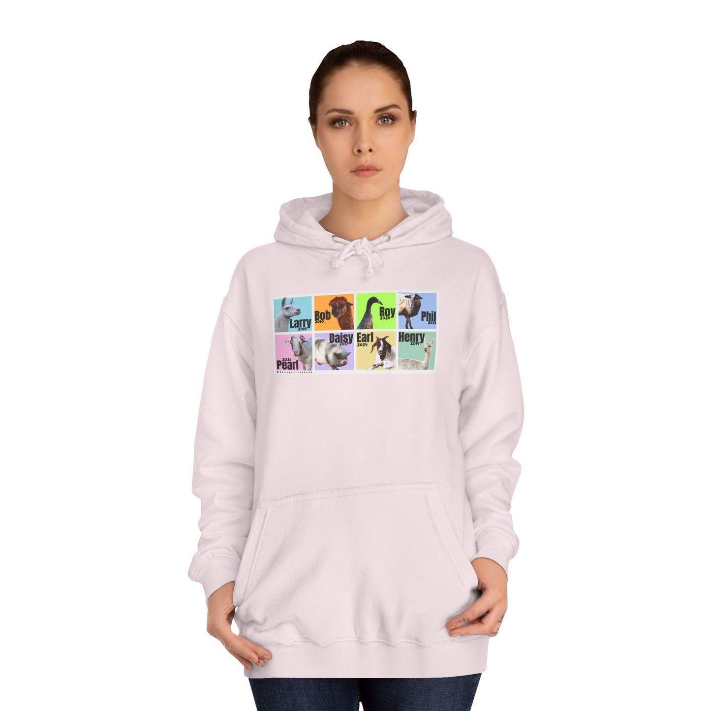 ADULT HOODIE - THE WHOLE GANG - PASTEL