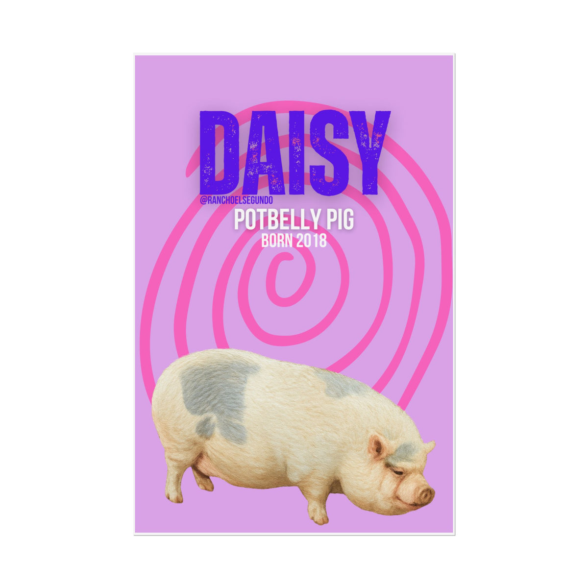 Rolled Posters