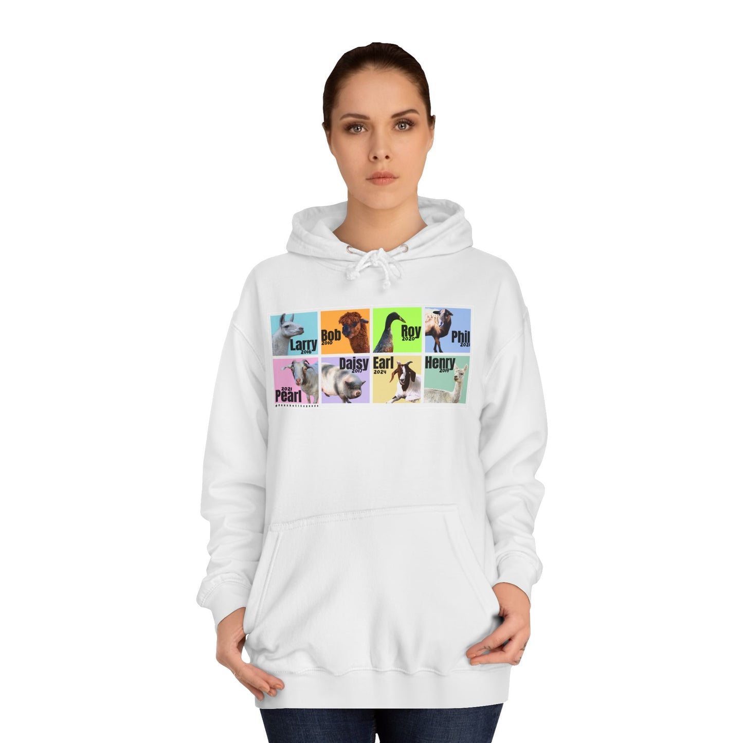 THE WHOLE GANG - ADULT HOODIE - PASTEL