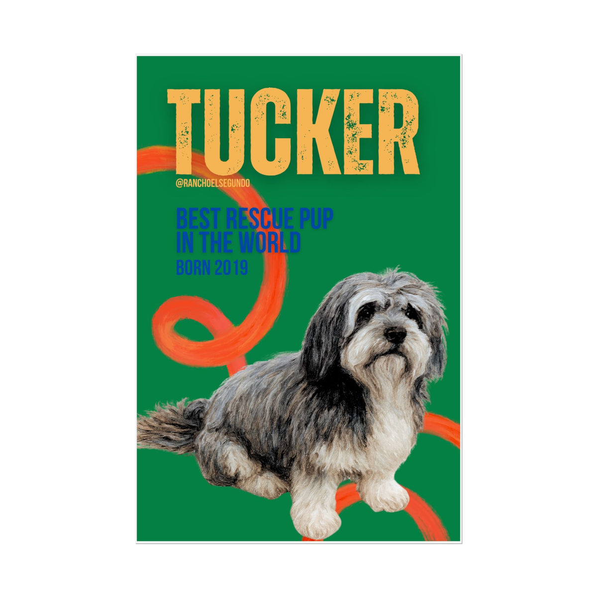 POSTER - TUCKER