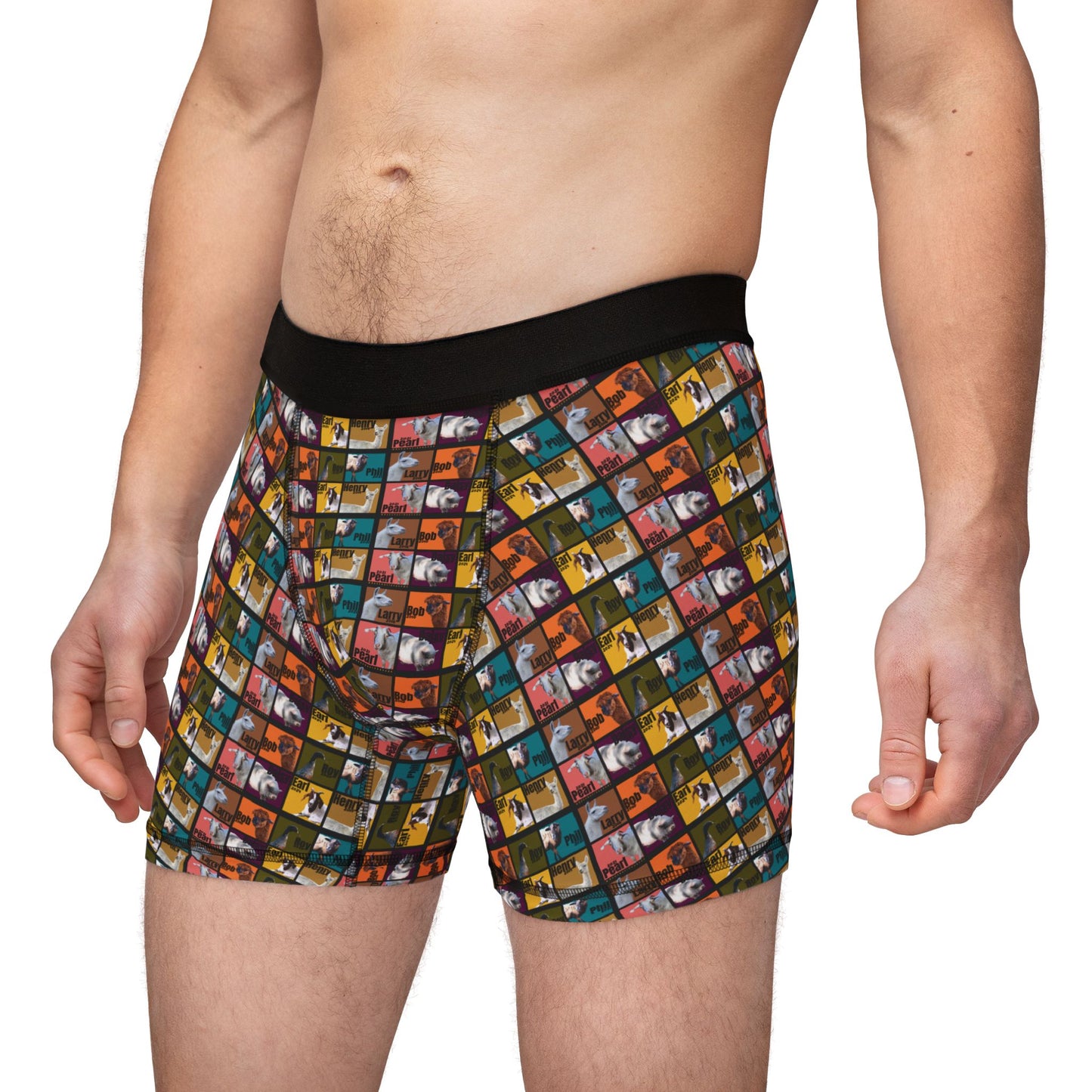 MEN'S BOXERS - THE WHOLE GANG - EARTH TONES