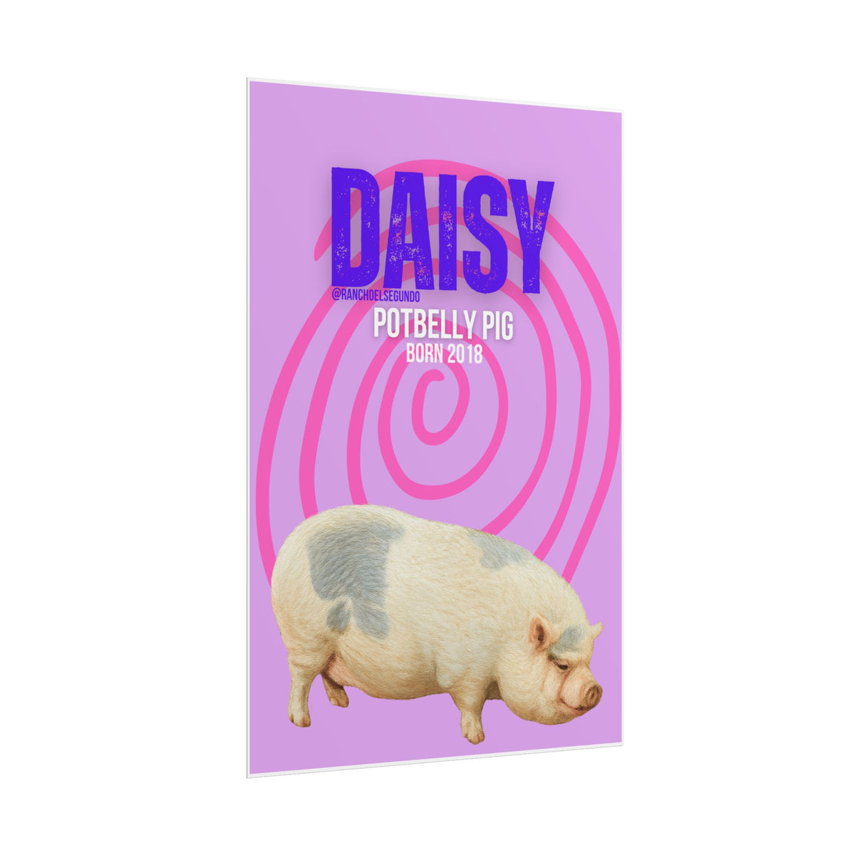 Rolled Posters