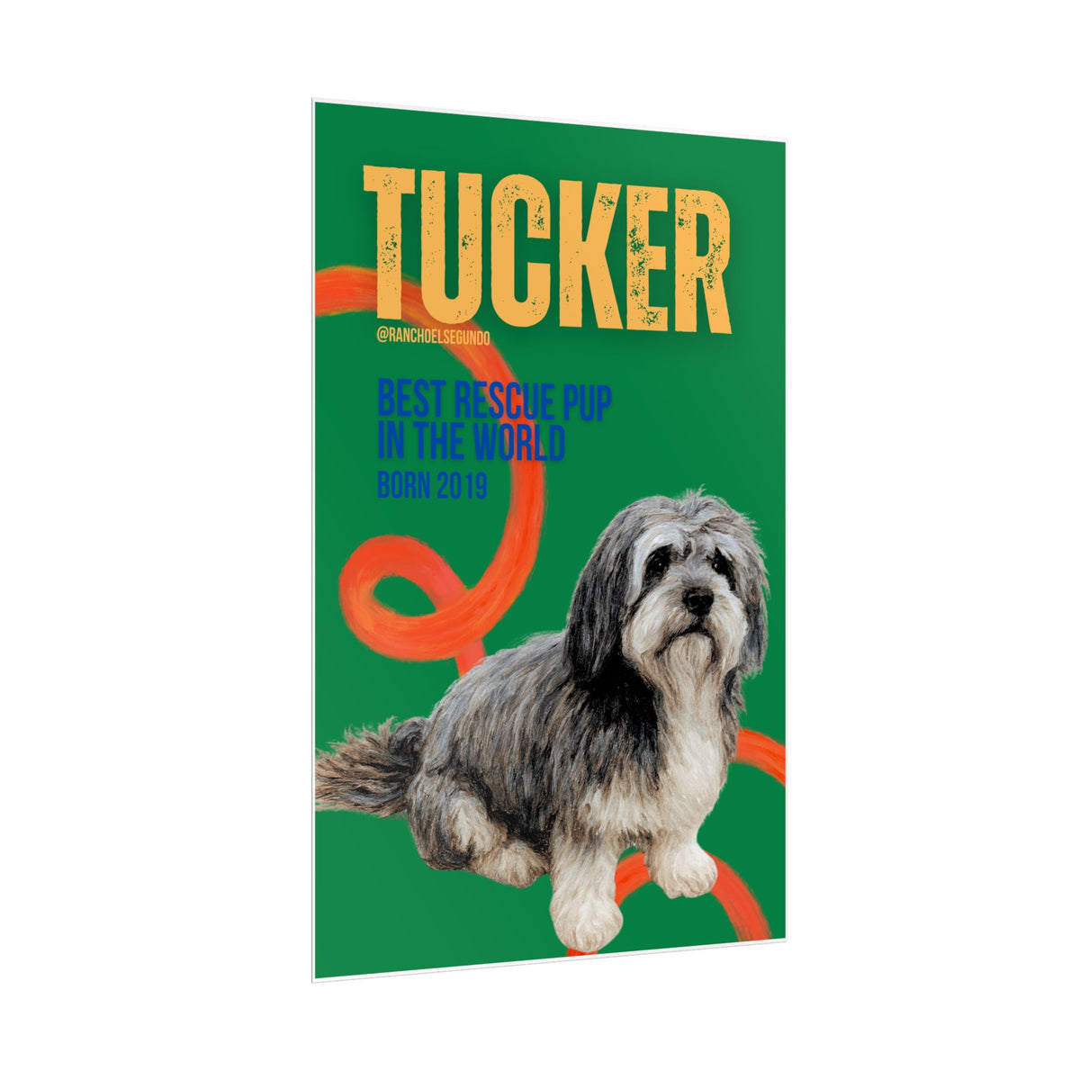 POSTER - TUCKER