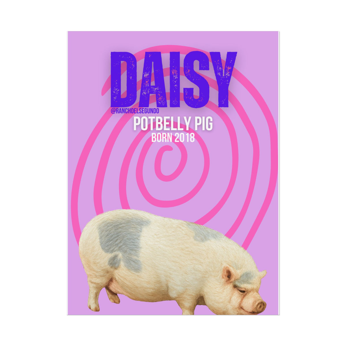 Rolled Posters