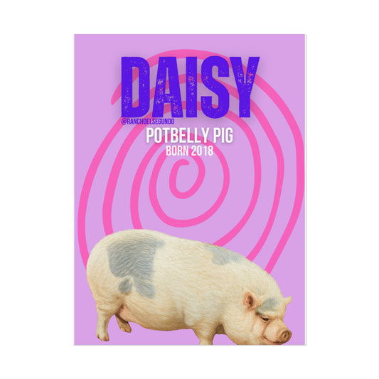Rolled Posters