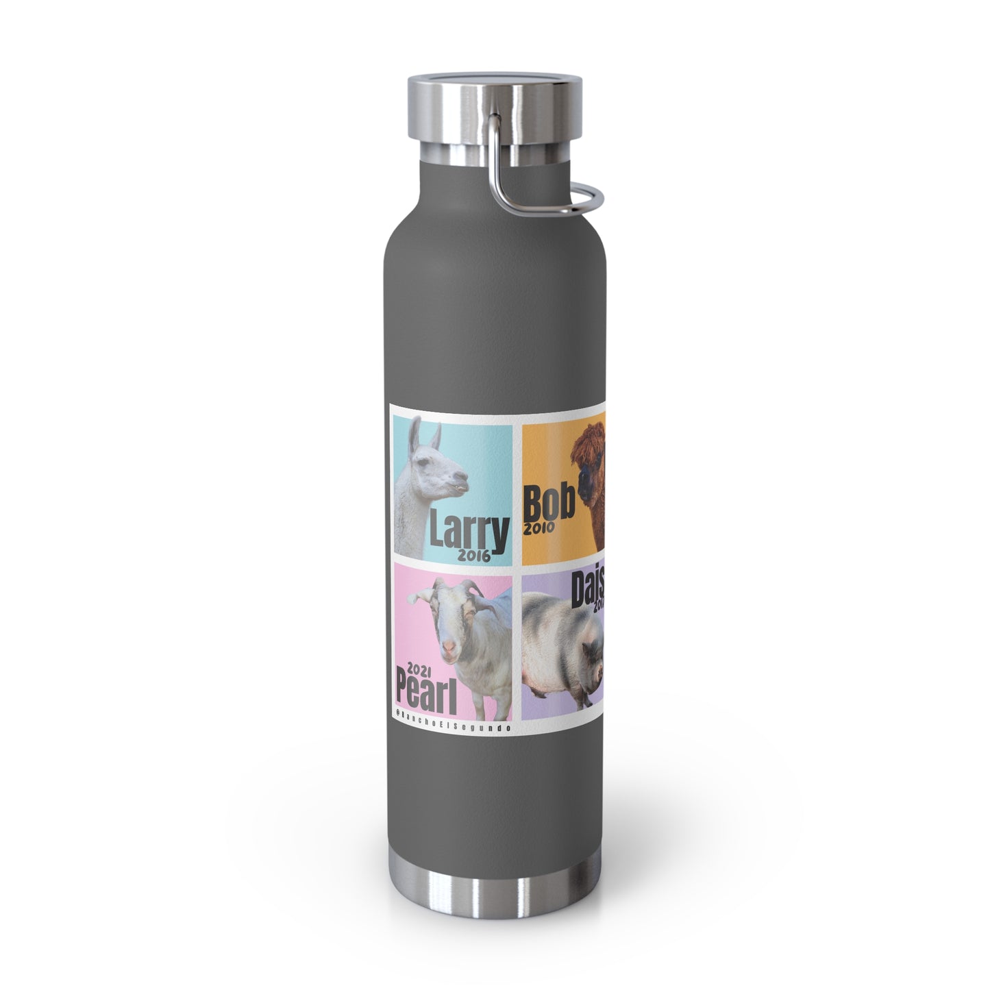 VACUUM INSULATED BOTTLE 22oz - THE WHOLE GANG - PASTEL