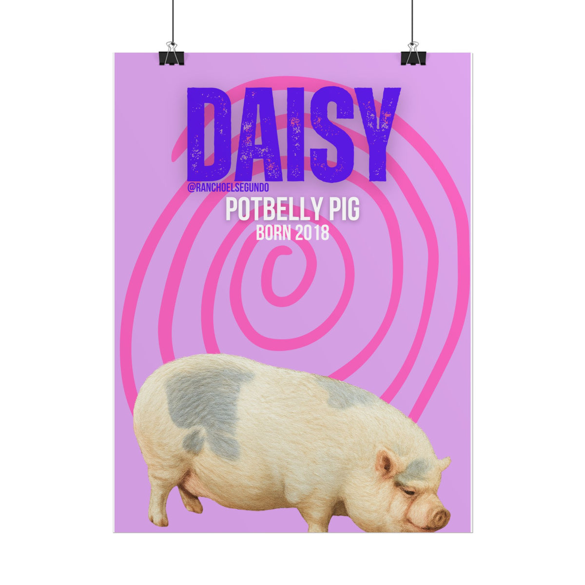 Rolled Posters