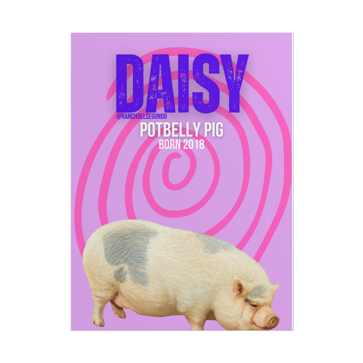 Rolled Posters