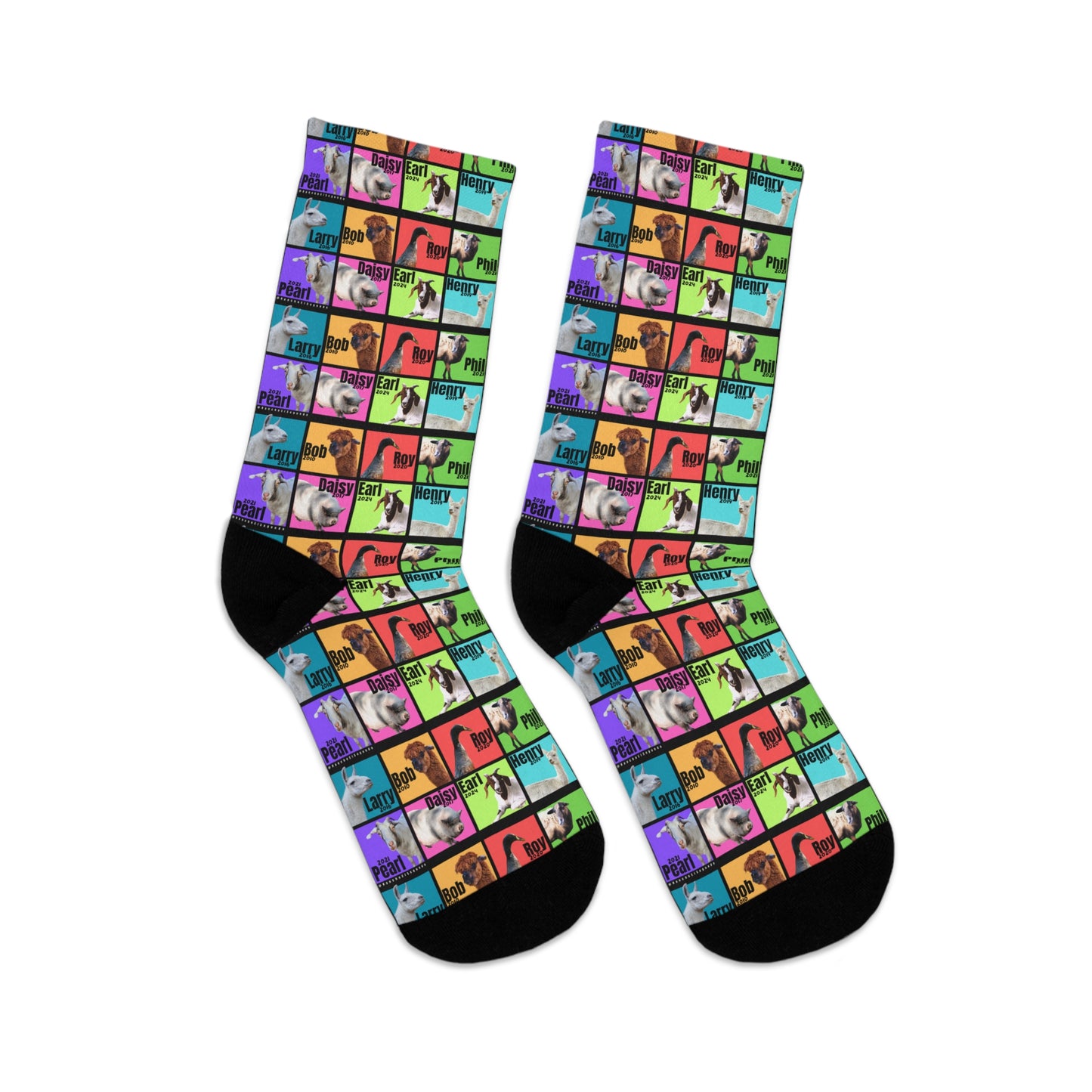 SOCKS - THE WHOLE GANG - BOLD COLORS