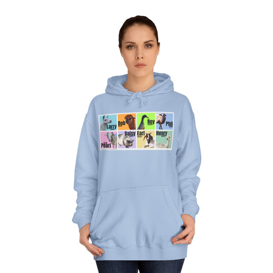 ADULT HOODIE - THE WHOLE GANG - PASTEL
