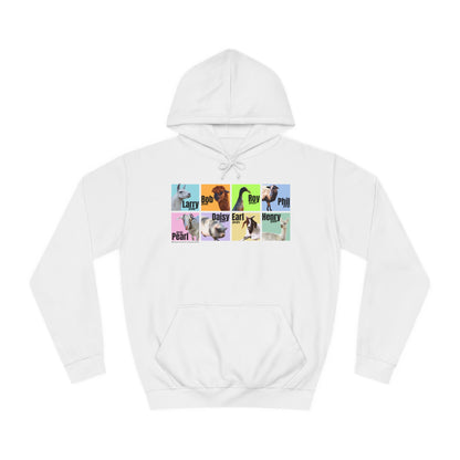 THE WHOLE GANG - ADULT HOODIE - PASTEL