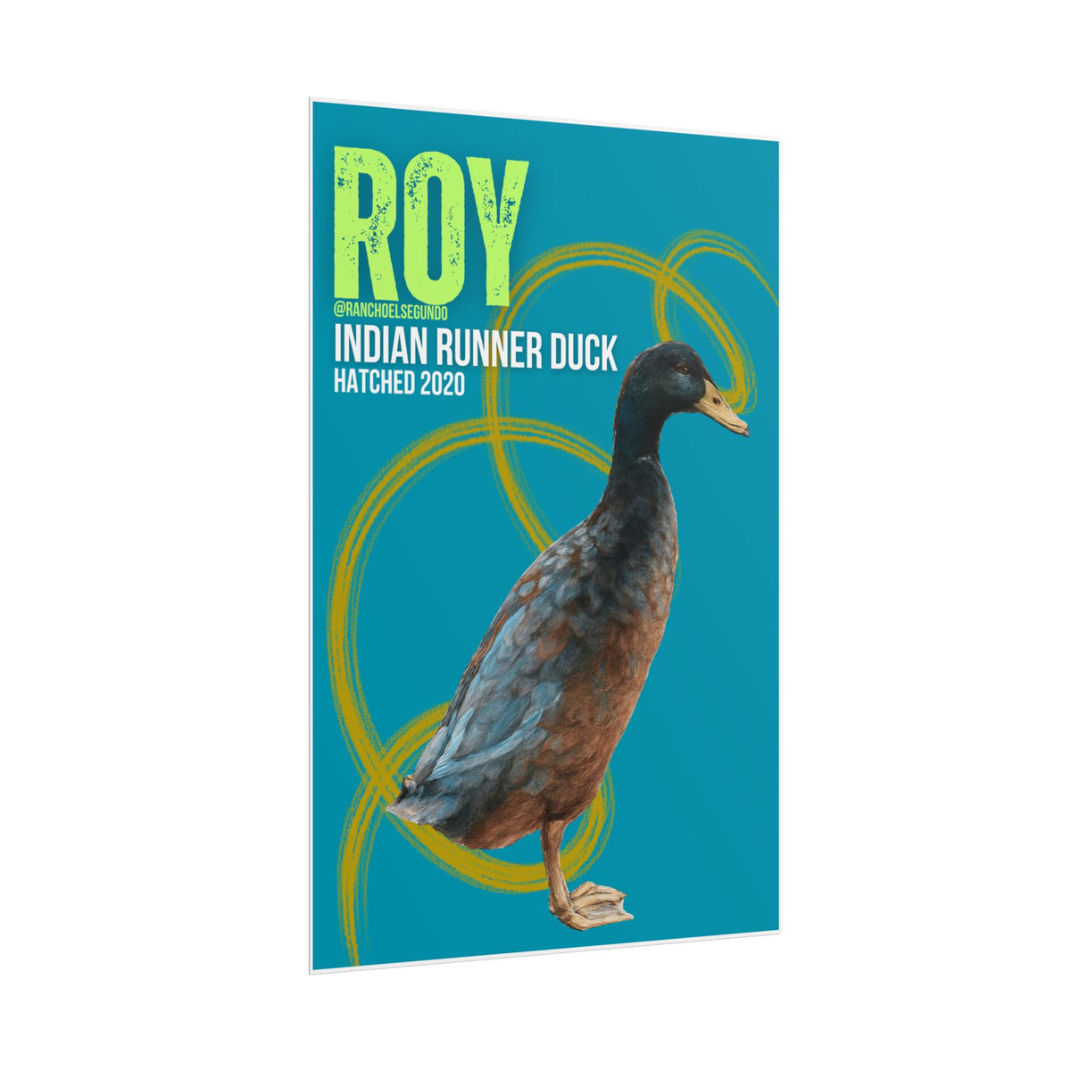 POSTER - ROY