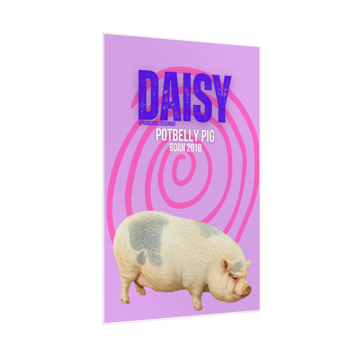 Rolled Posters