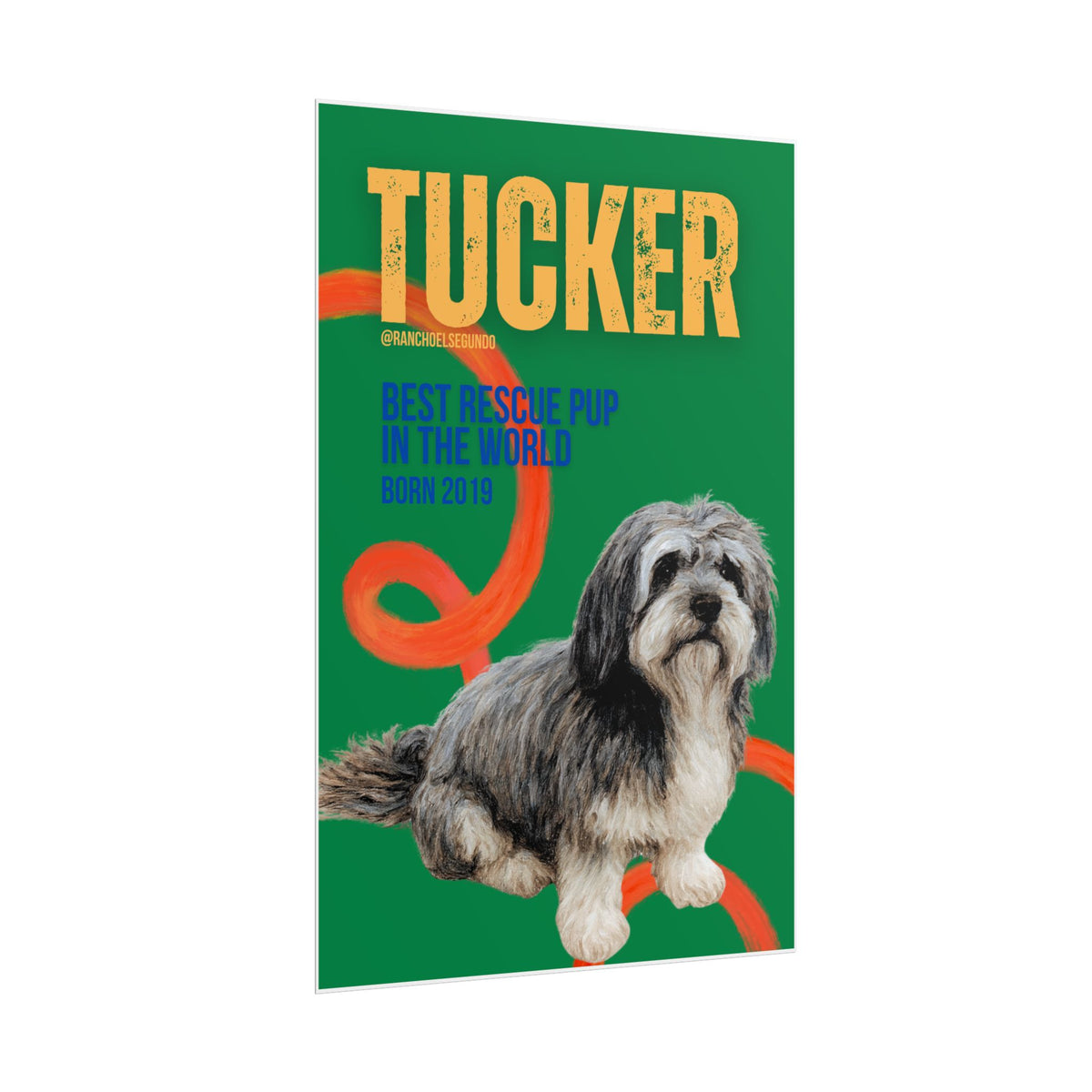 POSTER - TUCKER