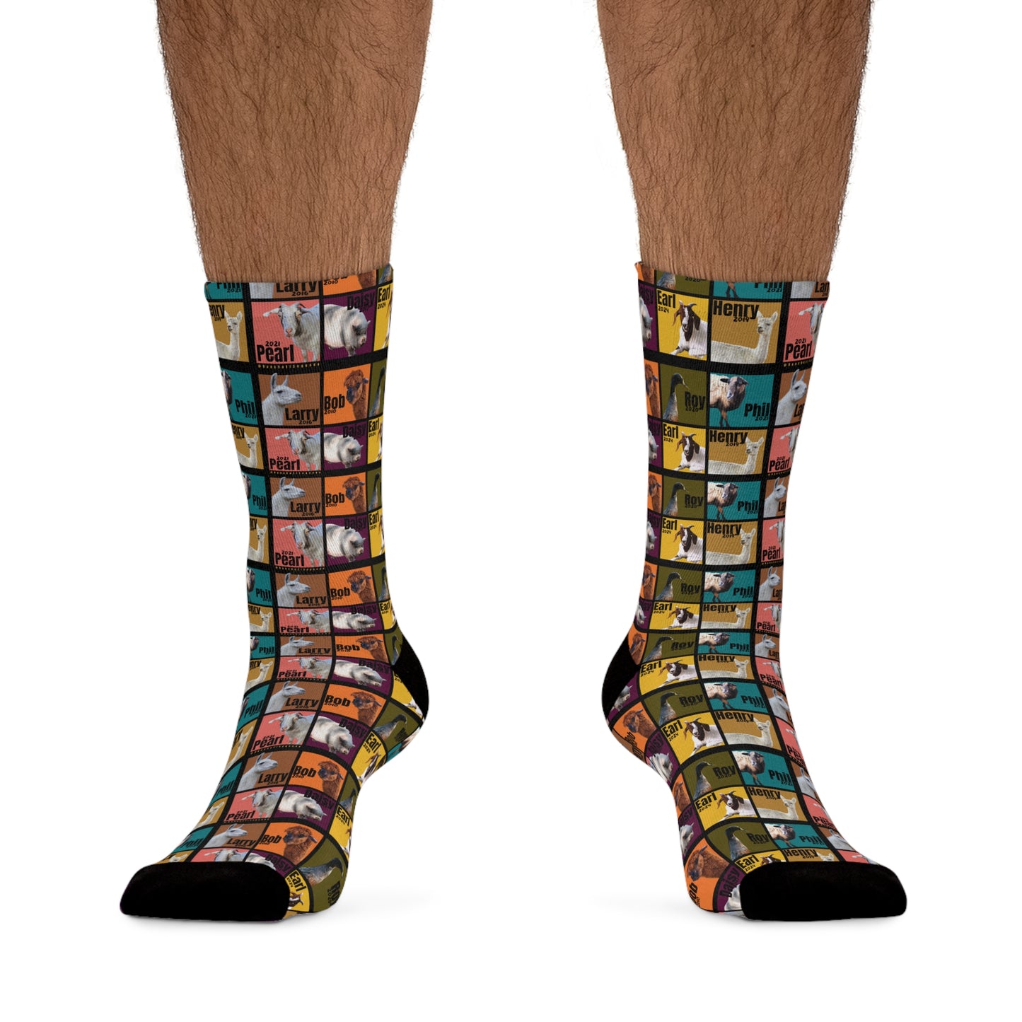 SOCKS - THE WHOLE GANG - EARTH TONES