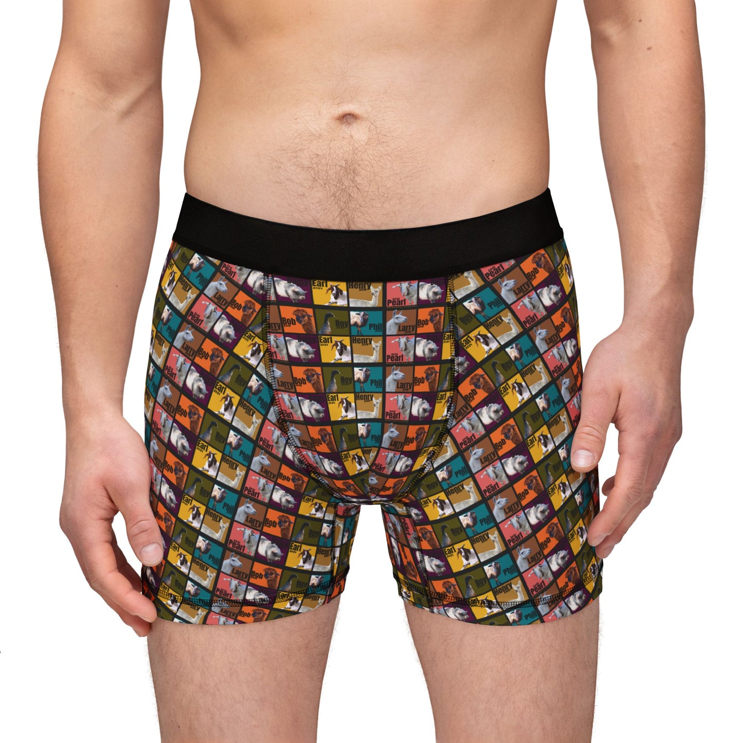 MEN'S BOXERS - THE WHOLE GANG - EARTH TONES