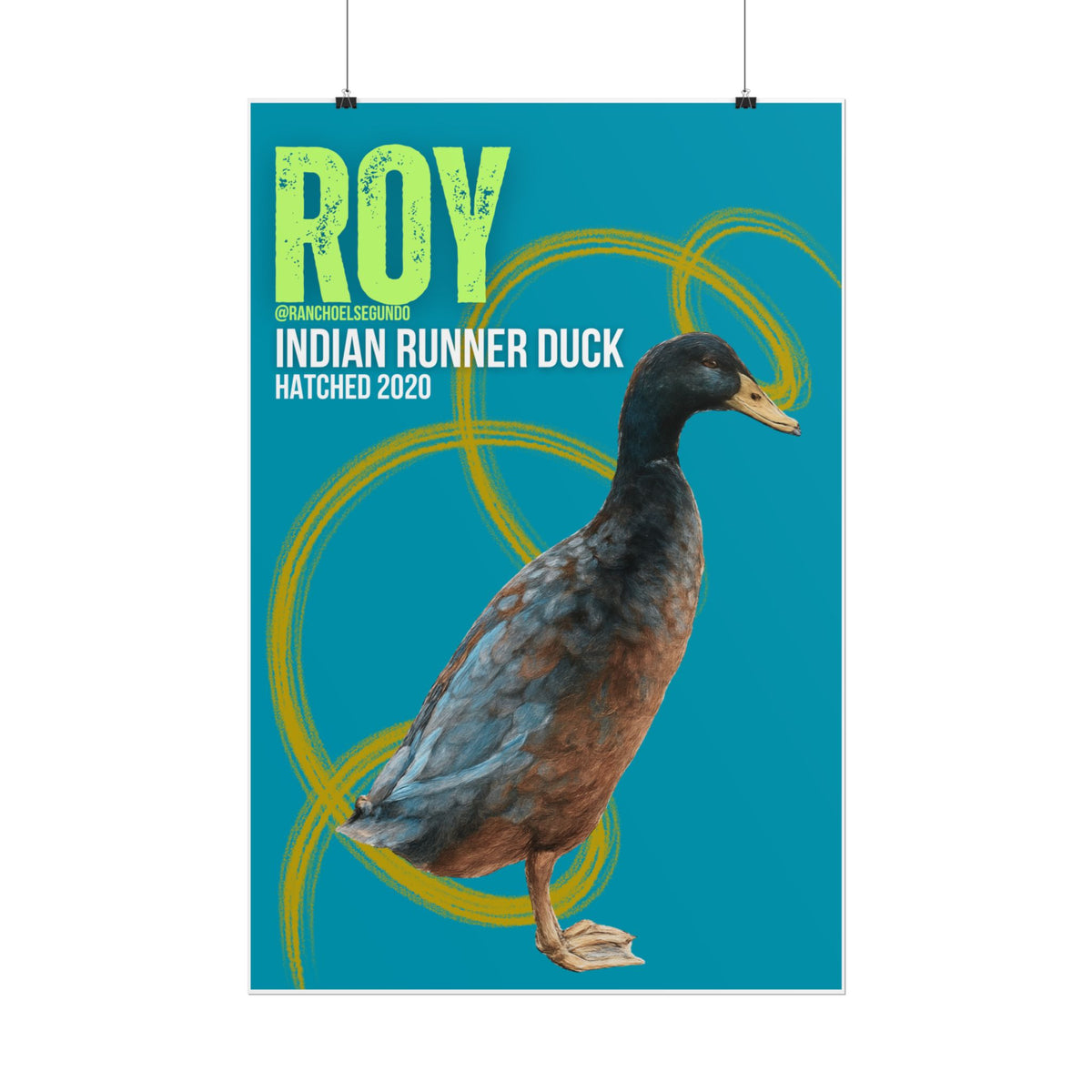 POSTER - ROY