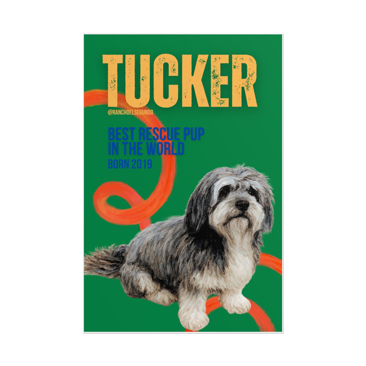 POSTER - TUCKER