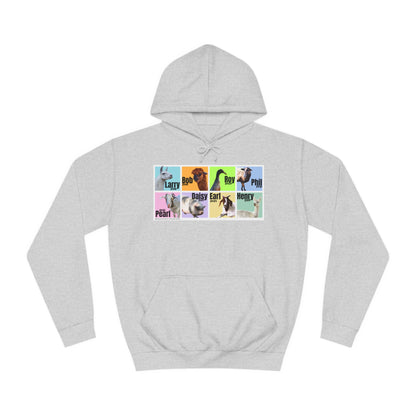 THE WHOLE GANG - ADULT HOODIE - PASTEL