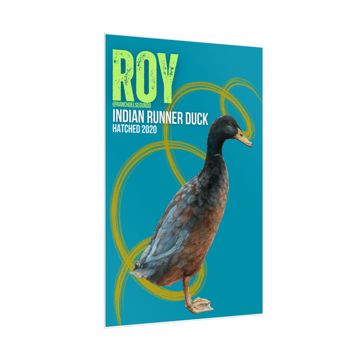 POSTER - ROY