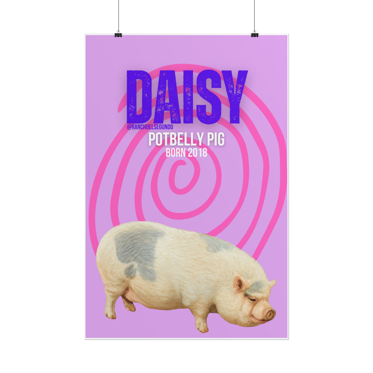 Rolled Posters